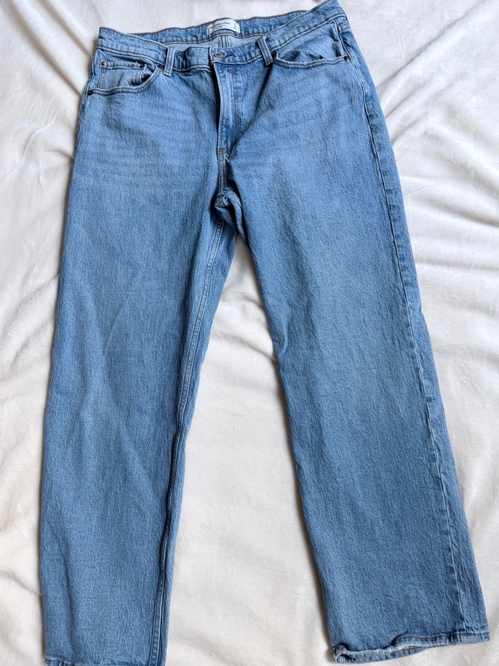 Abercrombie & Fitch The Baggy Low Rise    Jeans size 12/31